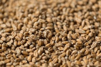 Gladfield - Wheat Malt 1kg